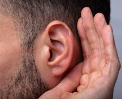 耳毛の処理方法