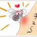 日焼け止めと虫除けの順番はどっちが先？同時に併用して効果ある？